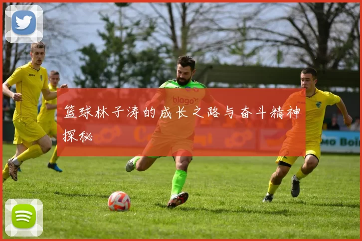 篮球林子涛的成长之路与奋斗精神探秘