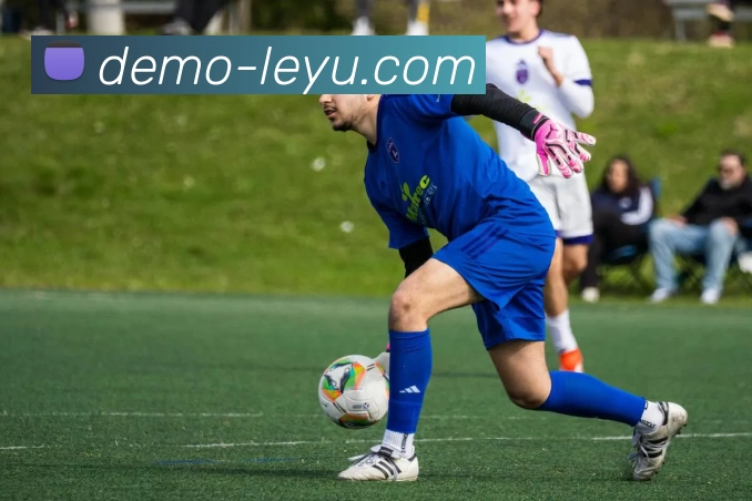 乐鱼app平台生态图